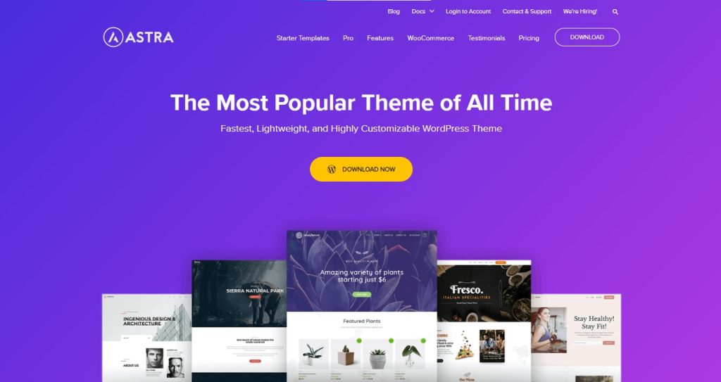 Astra - WordPress Elementor theme