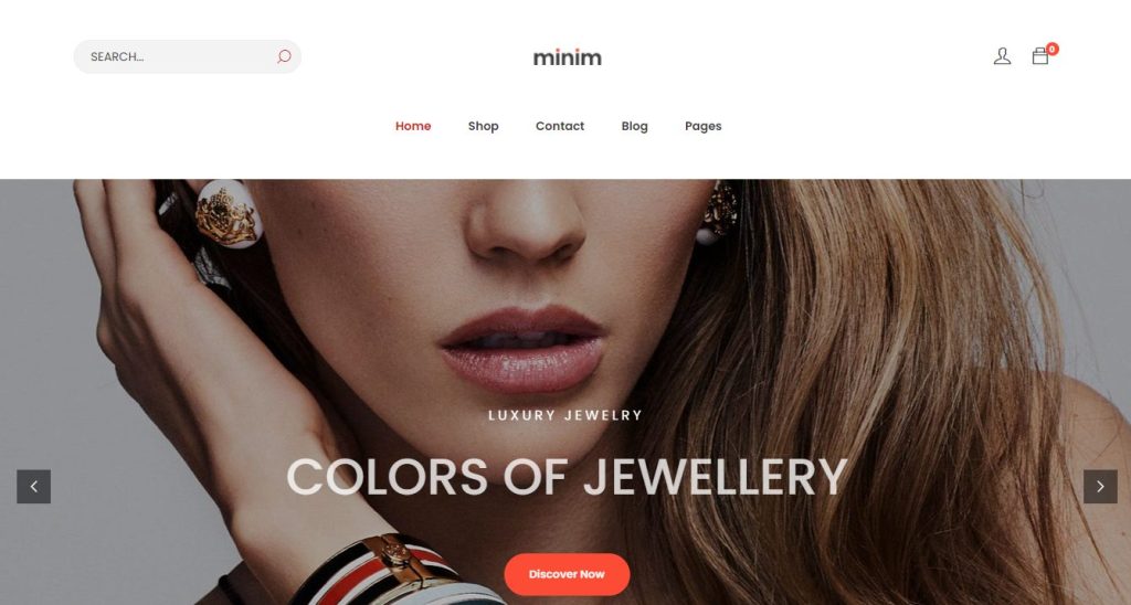 Minii- best feminine wordpress themes