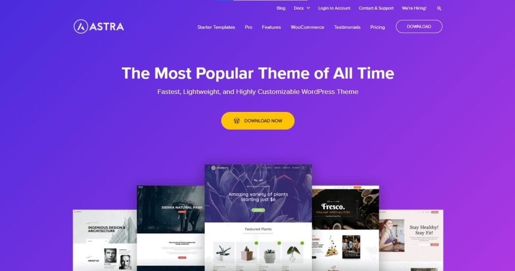 Astra - simple business WordPress themes