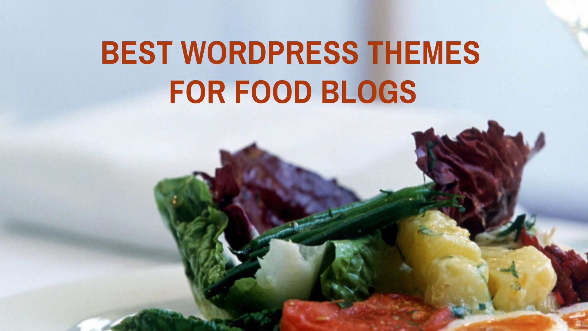 best WordPress themes for food blogs