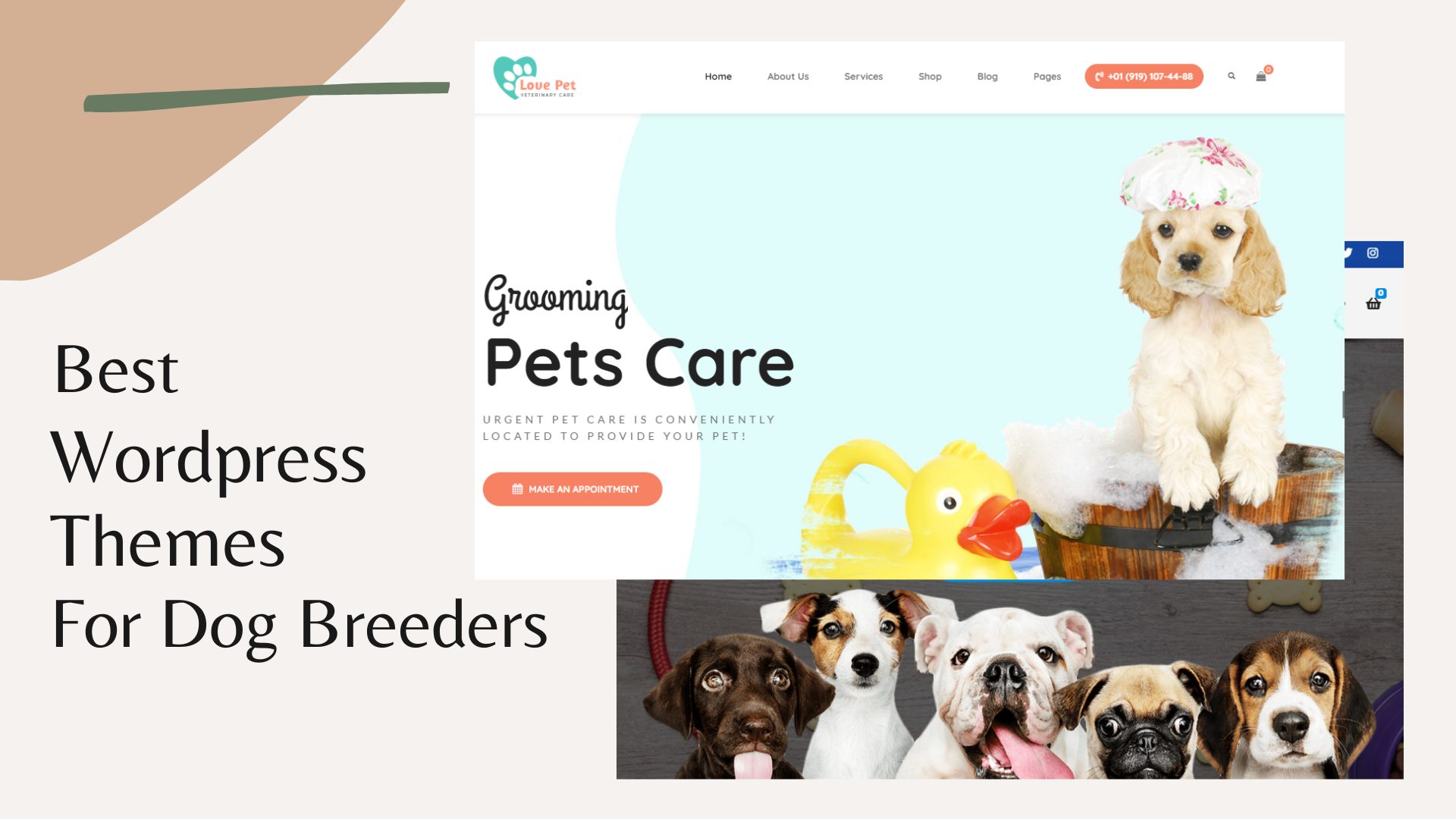 PetCenter Animals Pets Responsive WordPress Theme 