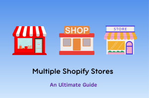 multiple Shopify stores