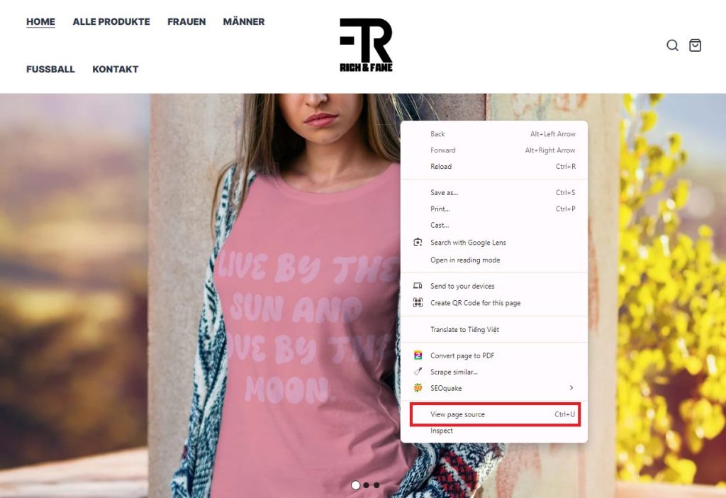 how to see what Shopify theme a website is using