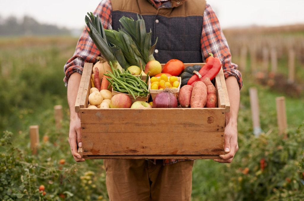 Farm-to-Table Business