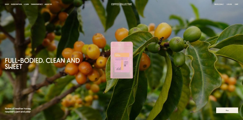 best cafe website design