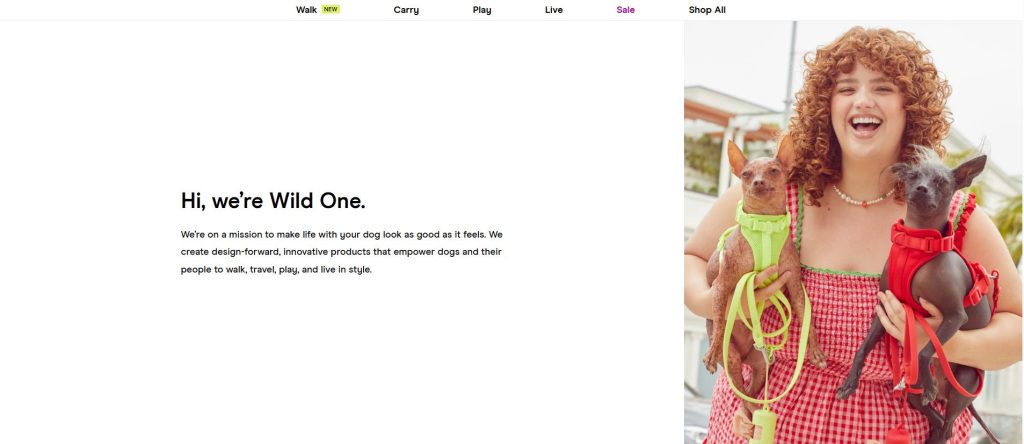 Customer-Centric About Us Template