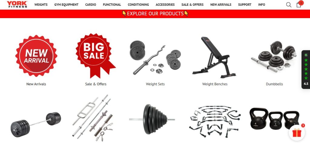 website design for gym