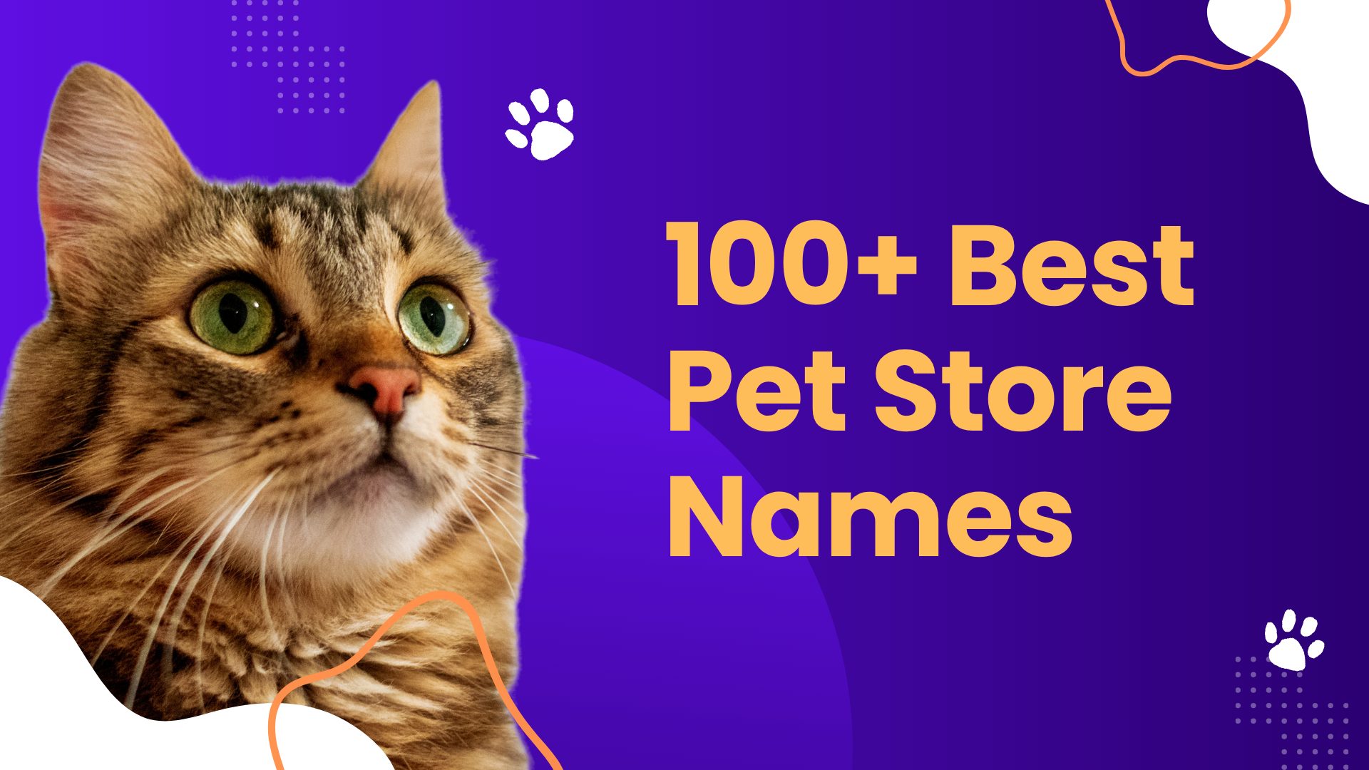 pet store names