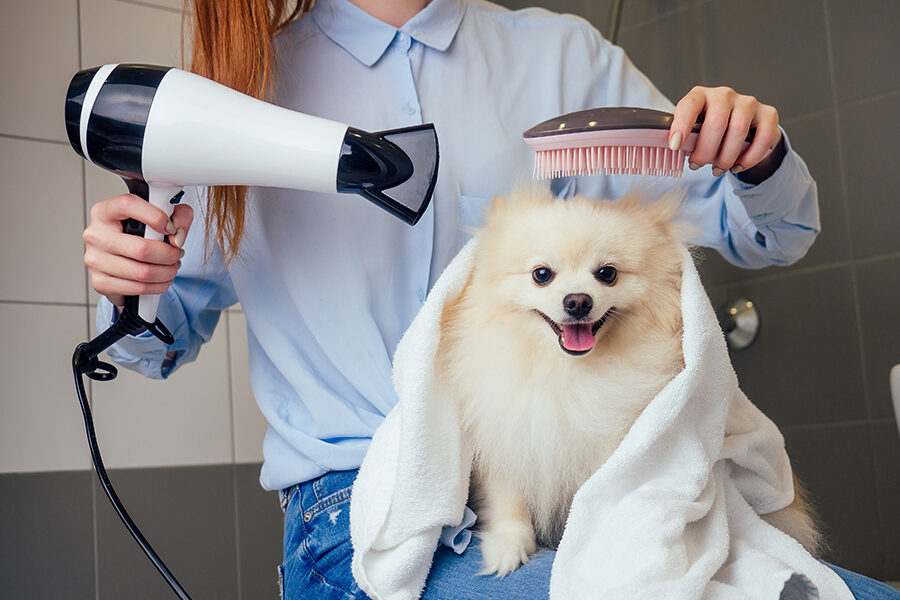 Pet Grooming and Home Pet Care