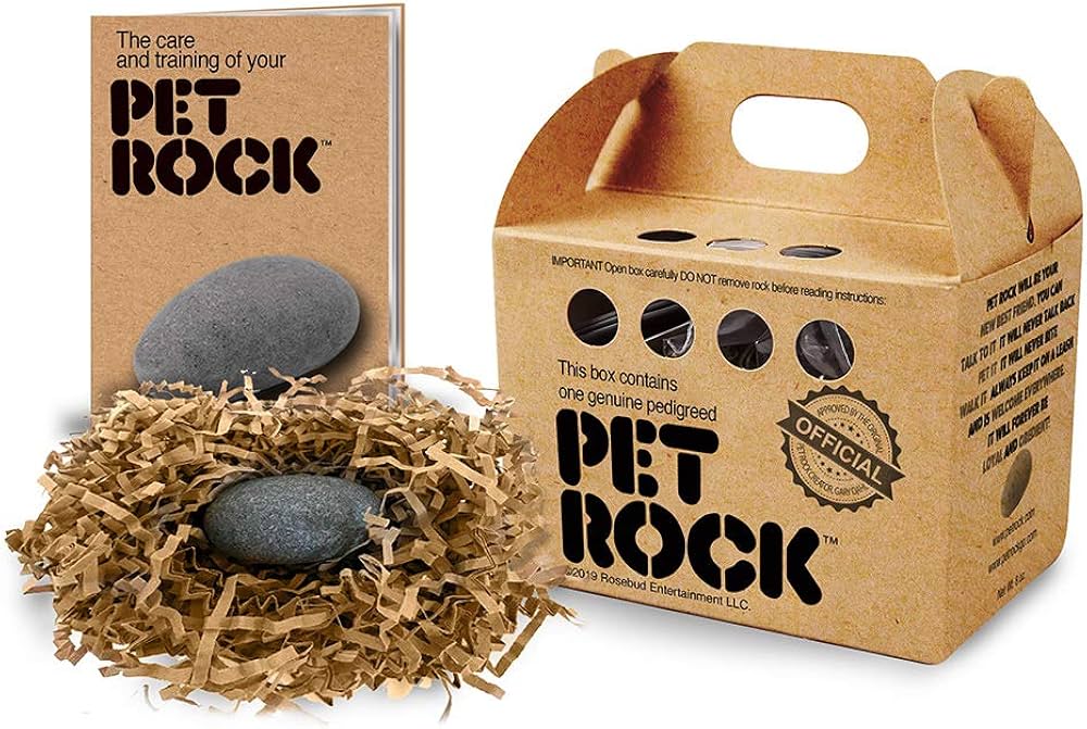 pet rock - weird business ideas that actually work