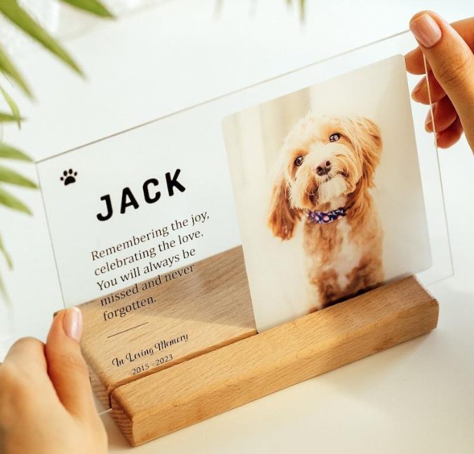 unique pet business ideas