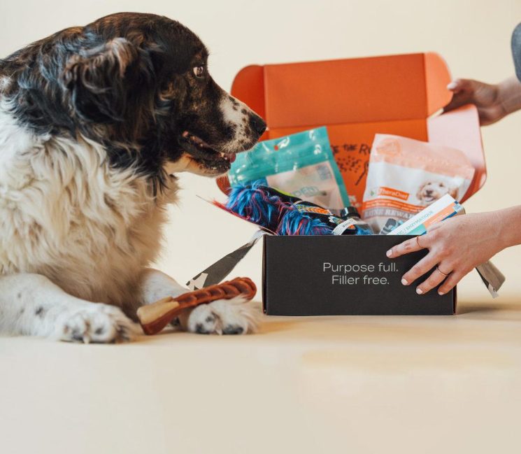 Pet Subscription Boxes