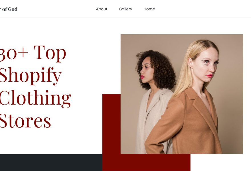 Shopify clothing stores